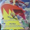 POCKET MONSTER Pokemon Kort | Blaziken Vmax Tg15/Tg30