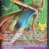 POCKET MONSTER Pokemon Kort | Zacian V 16/25