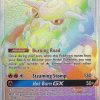 POCKET MONSTER Pokemon Kort | Heatran Gx 238/236 Hyper Rare