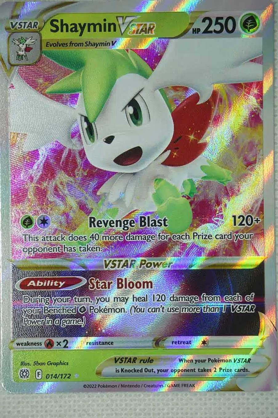 POCKET MONSTER Pokemon Kort | Shaymin Vstar 14/172