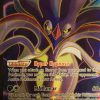 POCKET MONSTER Pokemon Kort | Malamar Ex 115/119 Full Art