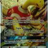 POCKET MONSTER Pokemon Kort | Shuckle Gx 17/214