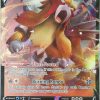 POCKET MONSTER Pokemon Kort | Entei V 22/172