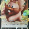 POCKET MONSTER Pokemon Kort | Greedent V 053/072