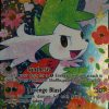 POCKET MONSTER Pokemon Kort | Shaymin Ex Rc21/Rc25 Full Art