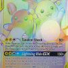 POCKET MONSTER Pokemon Kort | Raichu & Alolan Raichu Gx 241/236 Hyper Rare