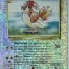 POCKET MONSTER Pokemon Kort | Pidgeotto 34/110 Special Holo Edition