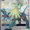 POCKET MONSTER Pokemon Kort | Shiny Silvally Gx Sv79/Sv94