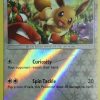 POCKET MONSTER Pokemon Kort | Eevee 48/68 Reverse Holo Rare