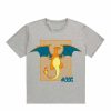 POCKET MONSTER Pokemon Til Bornevaerelset | Gra Charizard T Shirt Small